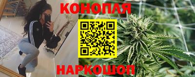 тгк Будённовск