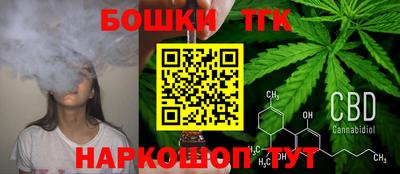 тгк Будённовск